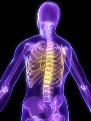Back Pain St Paul MN