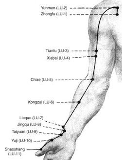 acupuncture sites on arm
