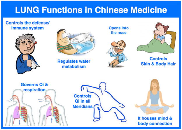 lung function chart