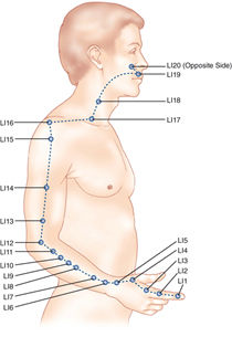 acupuncture meridians