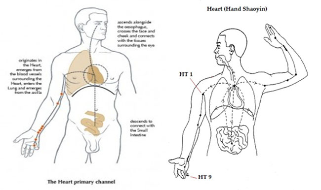 heart meridian points