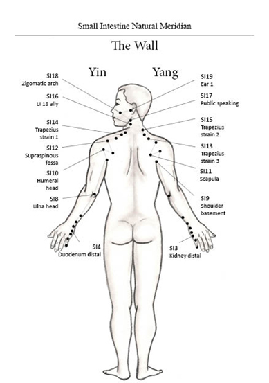 body chart